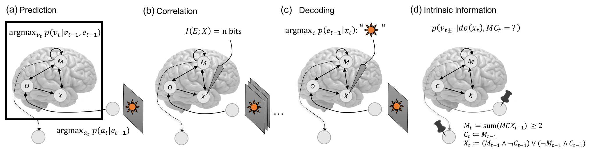 Information_Measures.