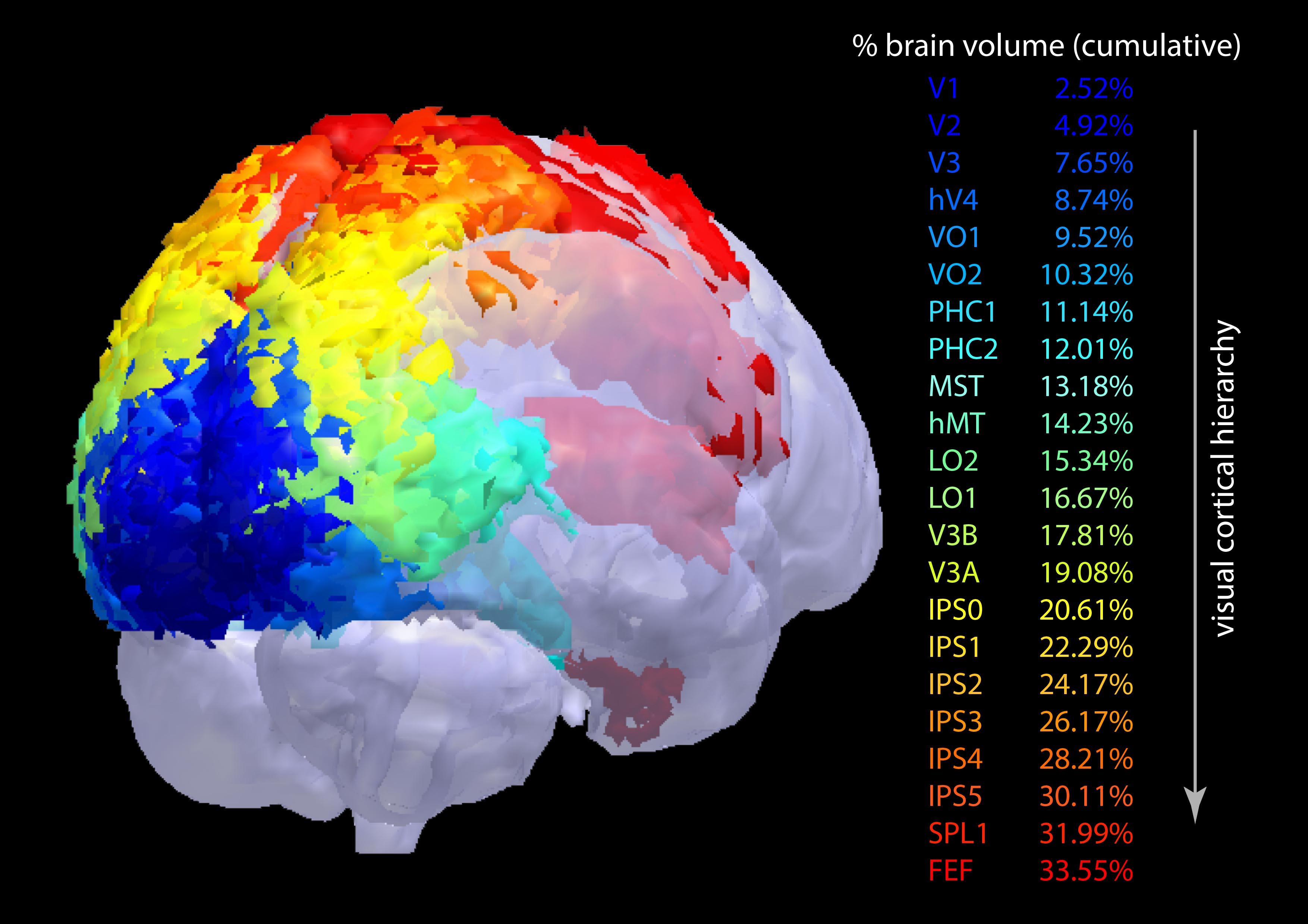 Grids in the brain