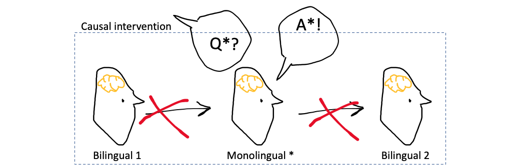 Diagram Translation Room Perturbation